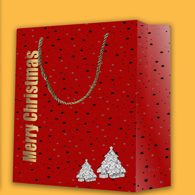 Bolso